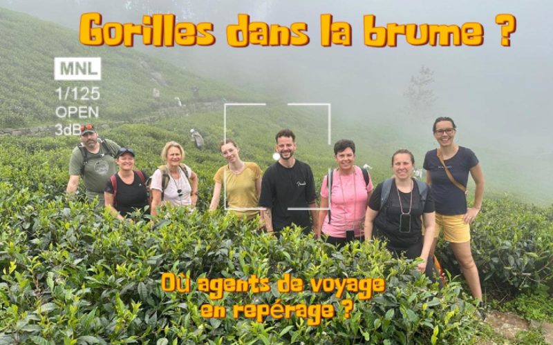 Best of activités Sri Lanka